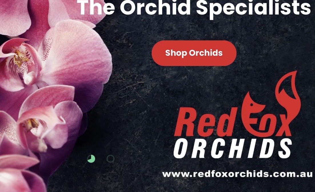 Gardener Gathering - a visit to Red Fox Orchid Nursery